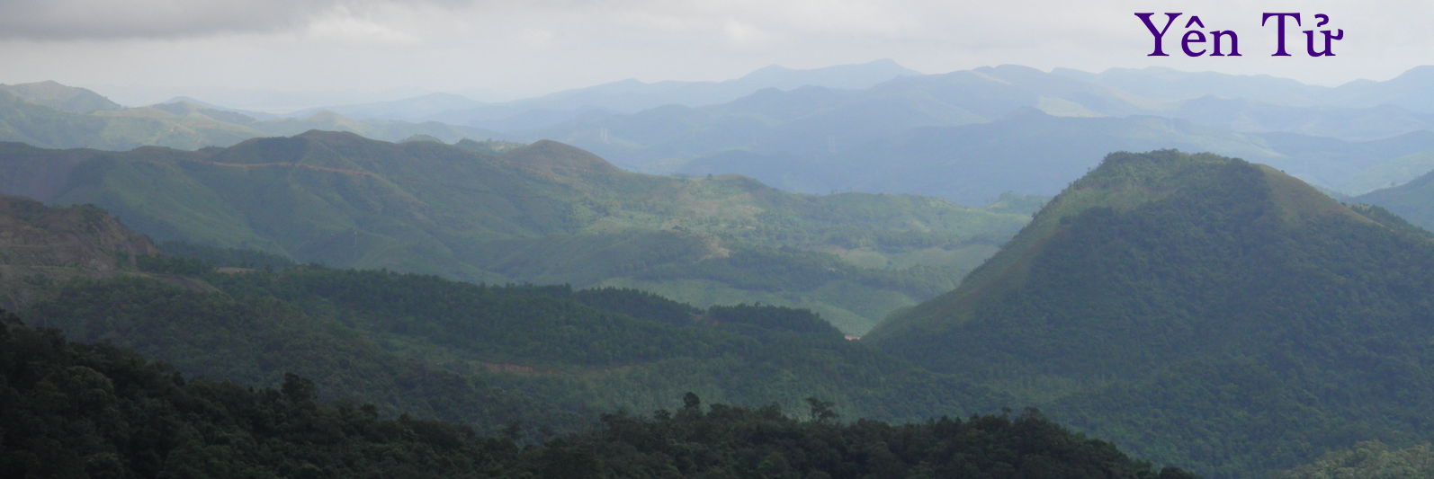 Yen Tu